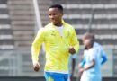 Ubungakanani bomonzakalo kaZwane buveziwe